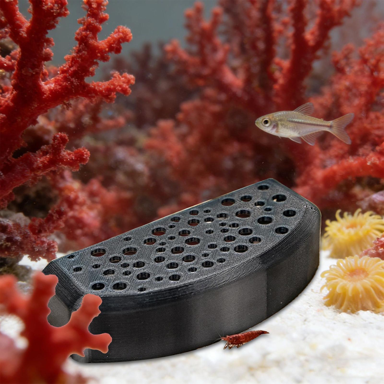 Aquarium Fish Zone - زينة مائية للحيوانات الأليفة، مأوى متعدد