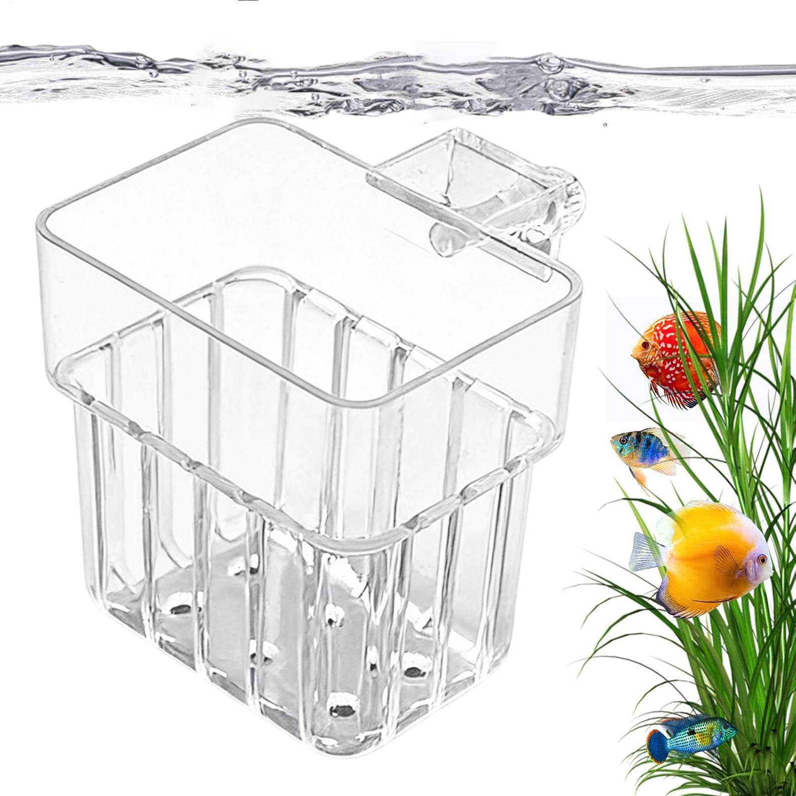 Aquarium Fish Only - وعاء شفاف قابل للتعليق لزراعة النباتات