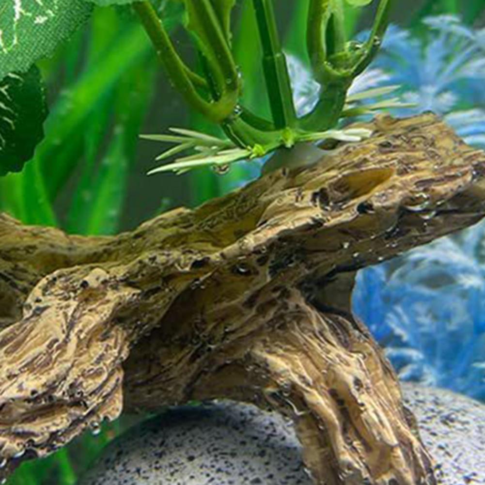 Aquarium Fish Low Maintenance - زينة حوض السمك منخفضة الصيانة، نباتات