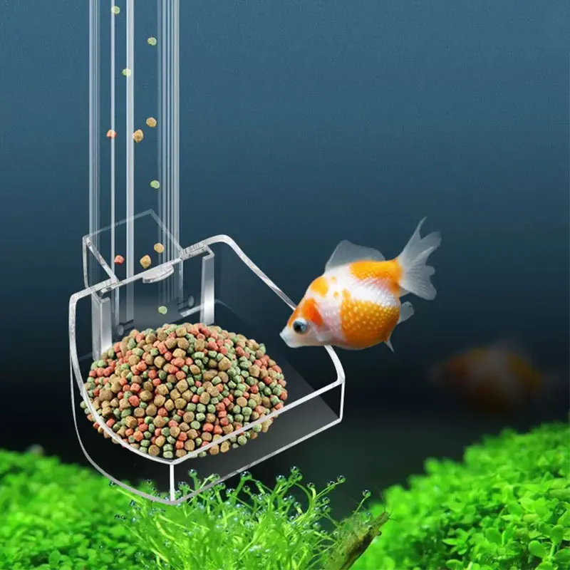 Aquarium Fish Poster - ملصق خلفية لحوض السمك بتصميم الثعلب