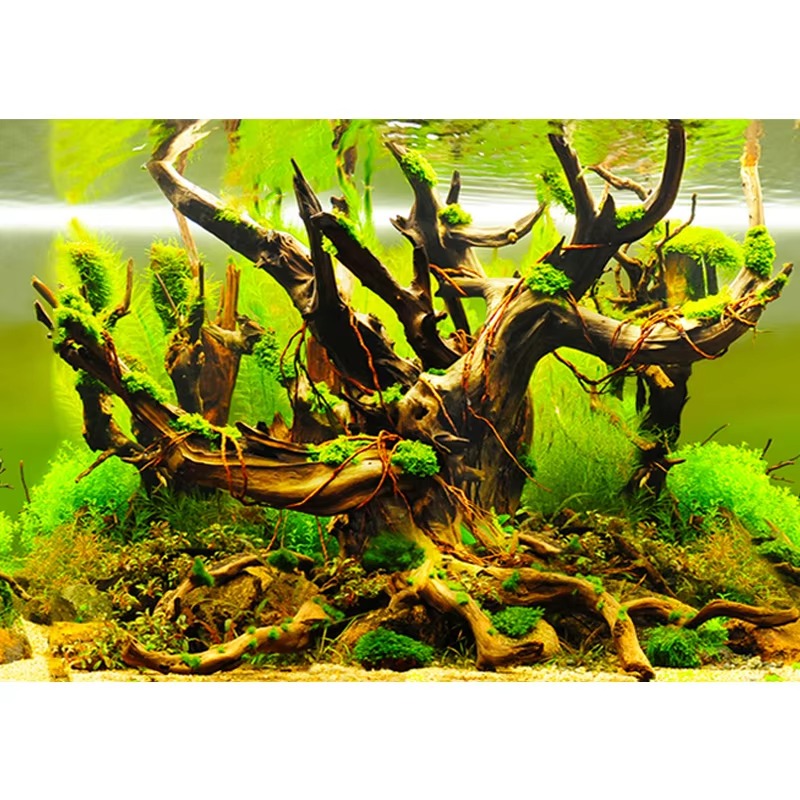 Aquarium Fish Wallpaper - مرجان صناعي لحوض السمك 50 سم،