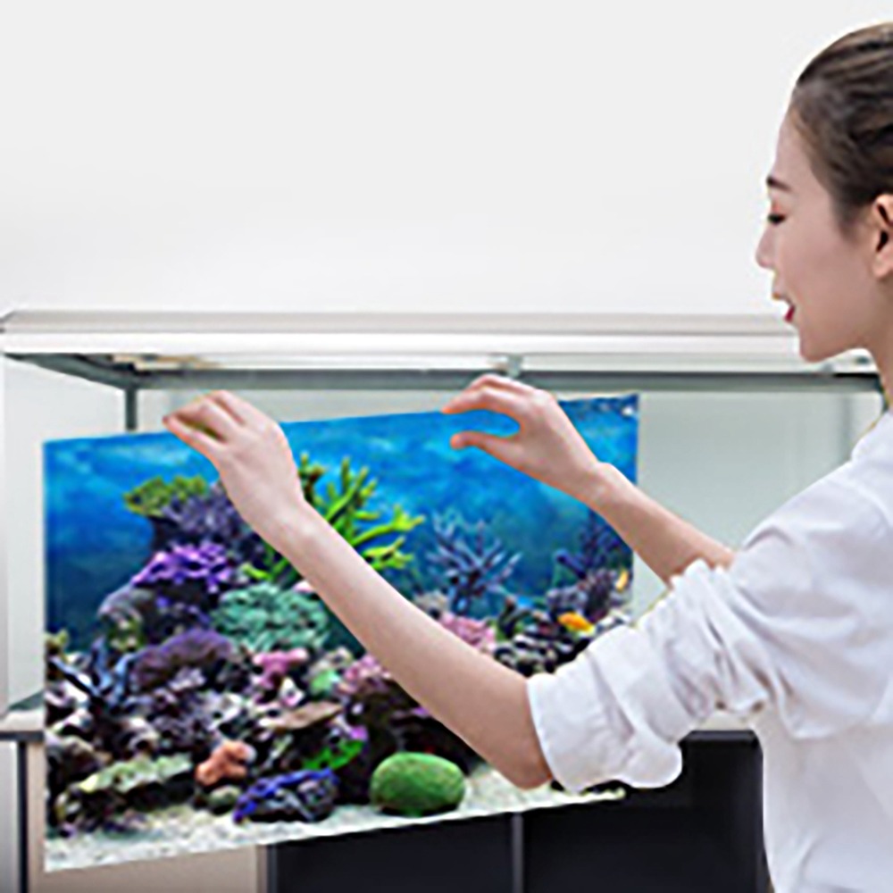 Aquarium Fish Poster - بولي كلوريد الفينيل حوض السمك خلفية