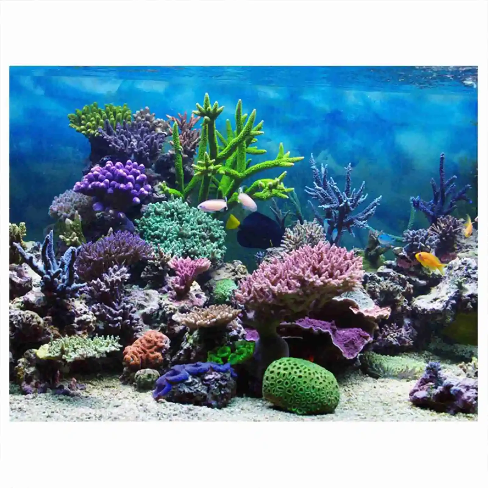 Aquarium Fish Poster - ملصق ثلاثي الأبعاد لحوض السمك منظر
