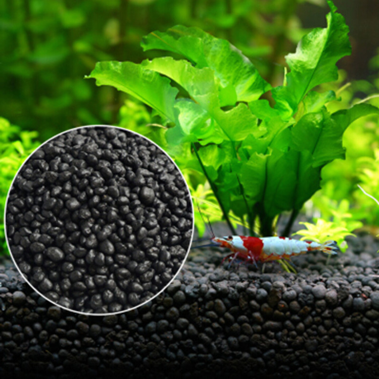 Aquarium Fish Care - نباتات أحواض السمك ، التربة ،