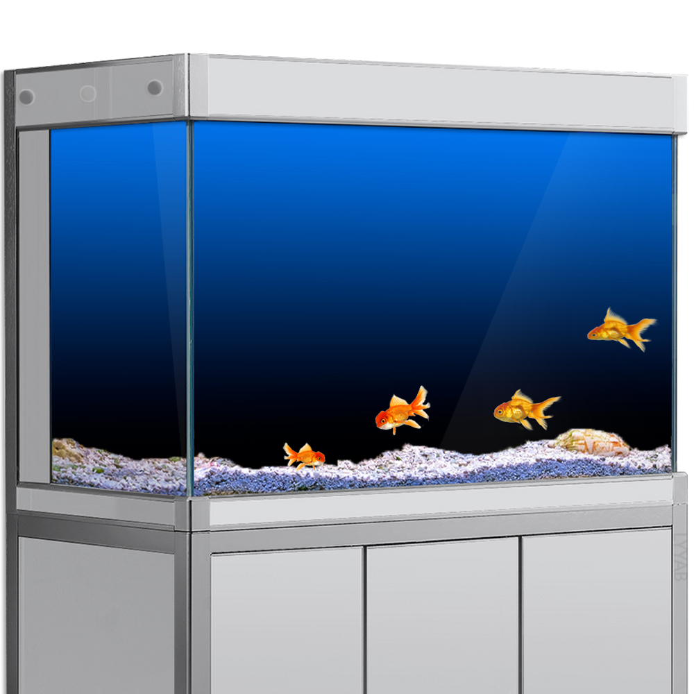 Aquarium Fish Wallpaper - ملصق خلفية لخزان الأسماك أسود أخضر