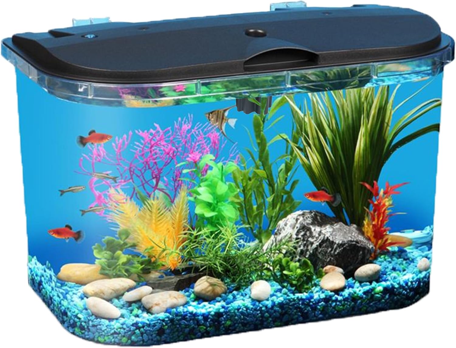 Aquarium Fish Variety - طقم حوض أسماك سعة 5 جالون