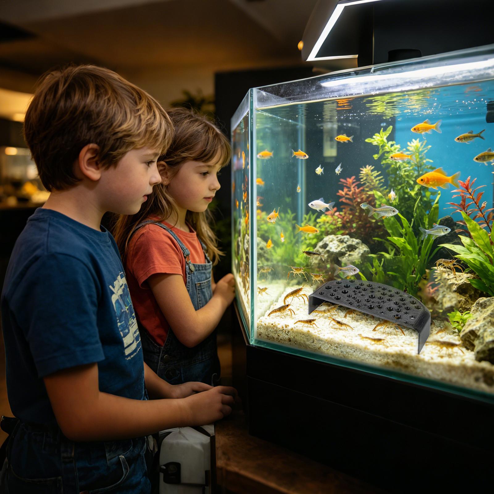زينة مائية للحيوانات الأليفة،  - مراجعة Aquarium Fish Zone وسعره