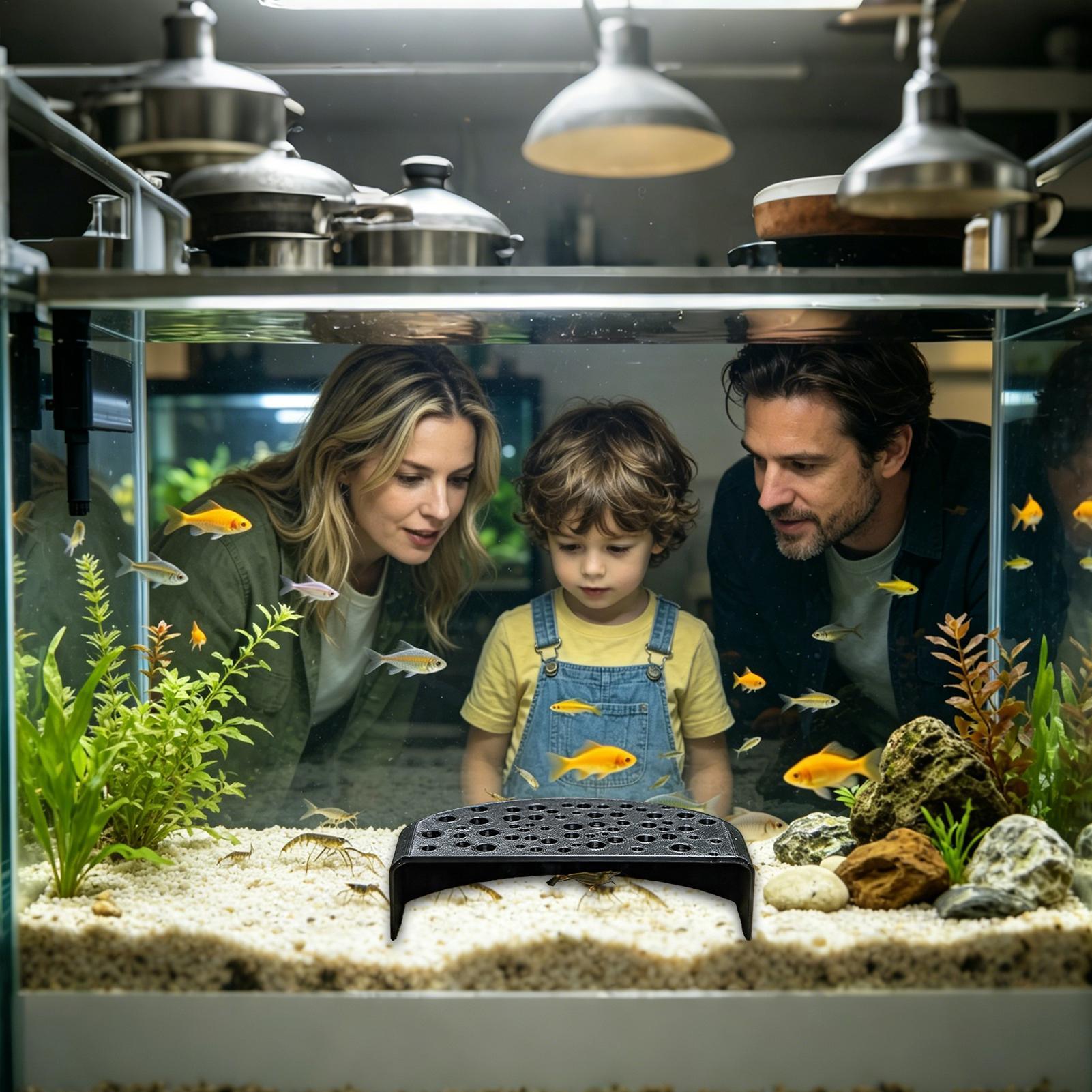 زينة مائية للحيوانات الأليفة،  - مراجعة Aquarium Fish Zone وسعره