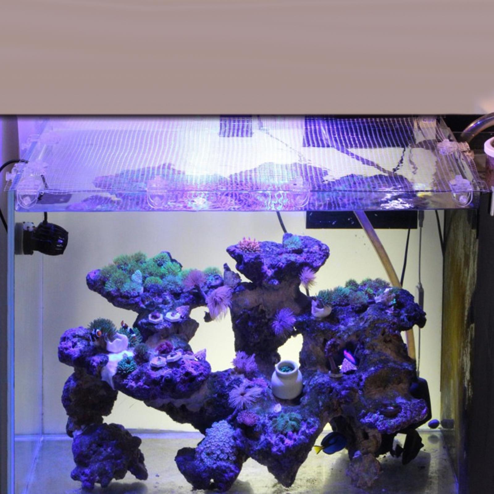 شبكة شفافة لحوض السمك من الأكر - مراجعة Aquarium Fish Jump Guard وسعره