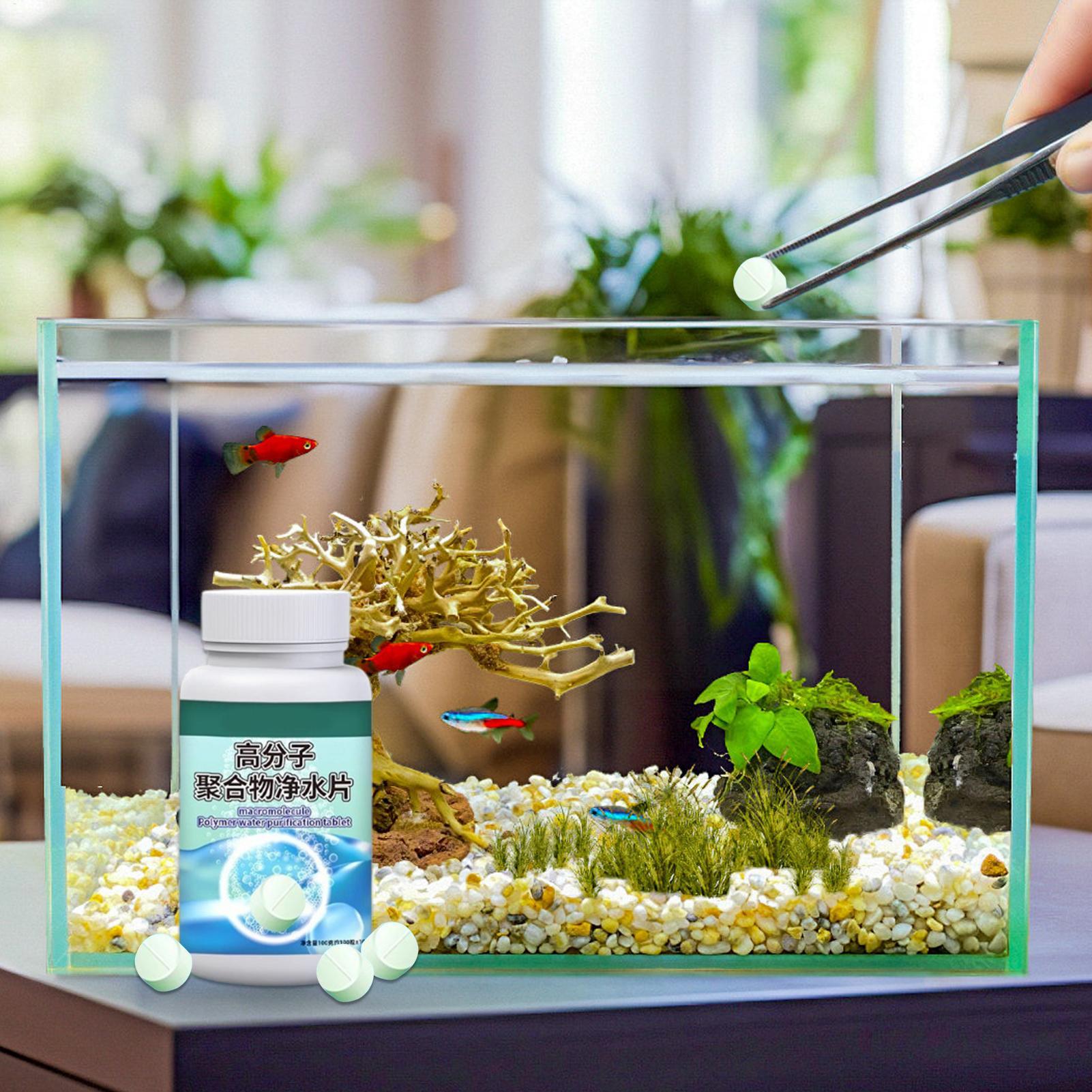 أقراص تنظيف المياه وإزالة الطح - مراجعة Aquarium Fish Care وسعره