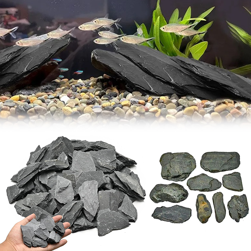مجموعة أحجار تنسيق أحواض السمك - مراجعة Aquarium Fish Bowl وسعره