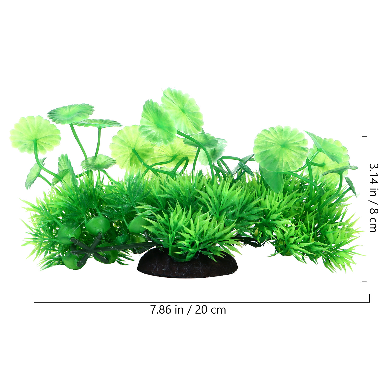قطعتان من النباتات المائية الا - مراجعة Aquarium Fish Low Maintenance وسعره