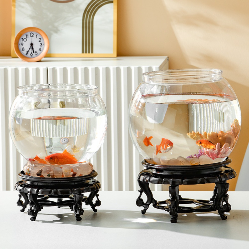 حوض سمك دائري شفاف للديكور الم - مراجعة Aquarium Fish Live وسعره