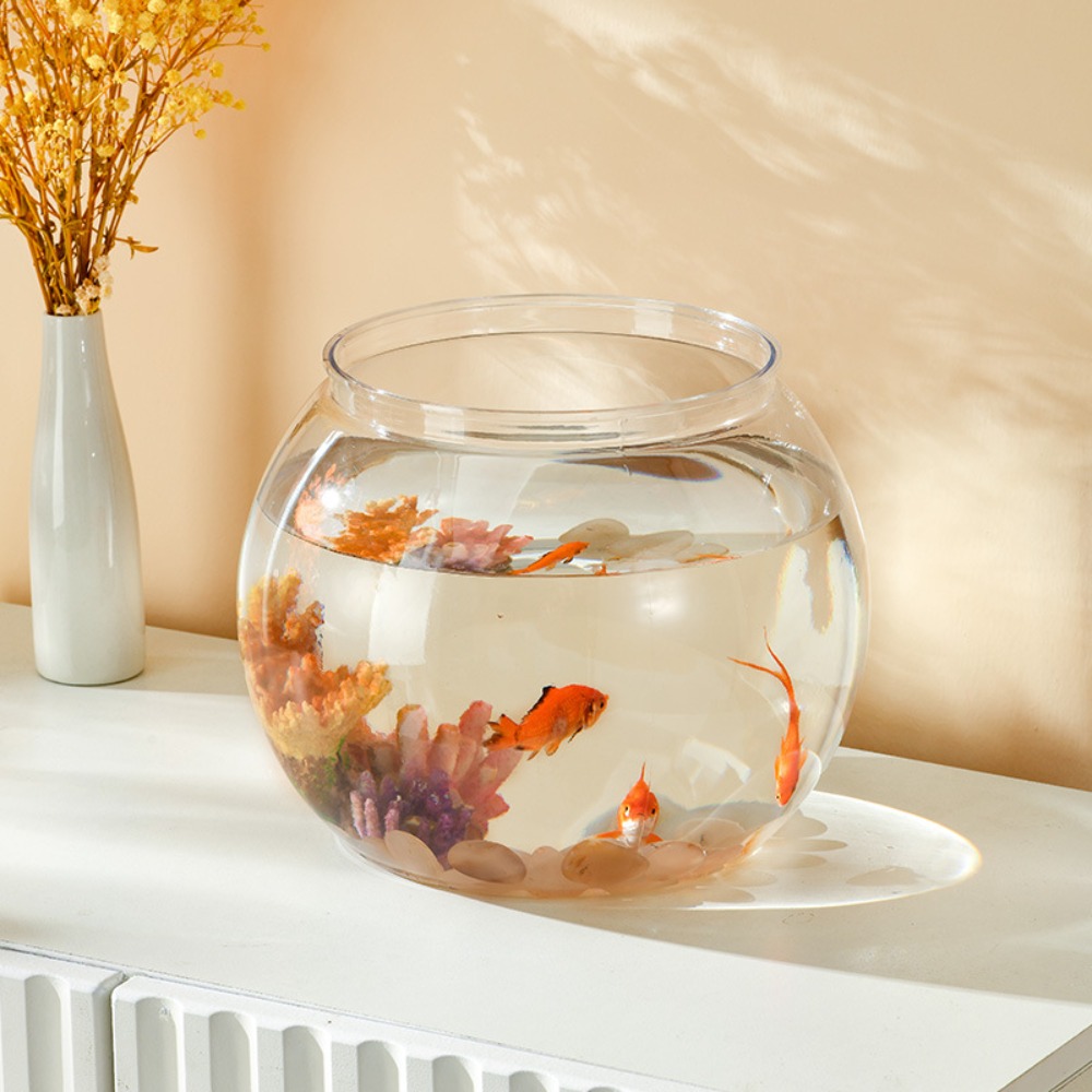 حوض سمك دائري شفاف للديكور الم - مراجعة Aquarium Fish Live وسعره