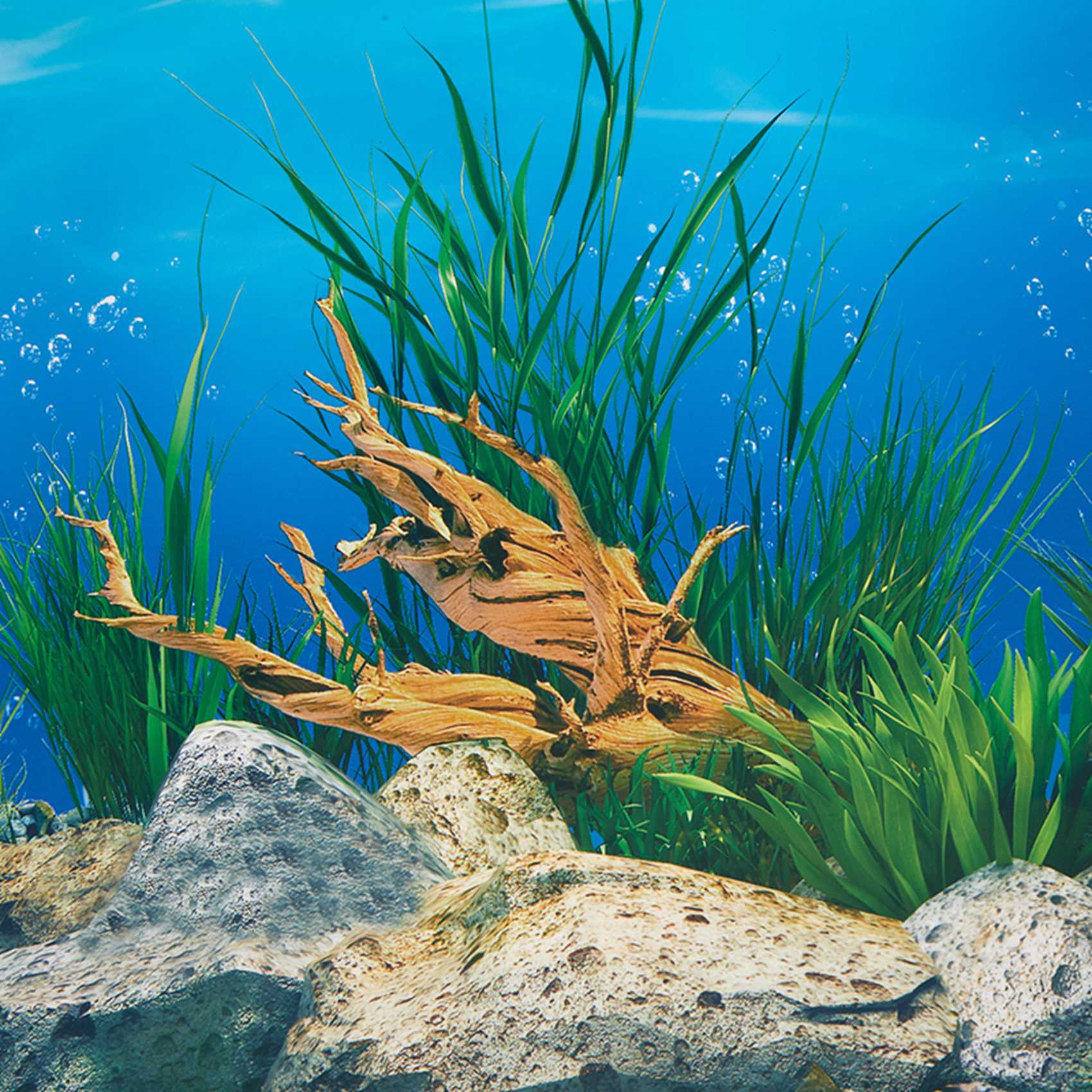 ورق خلفية للأحواض المائية ABWR - مراجعة Aquarium Fish Wallpaper وسعره