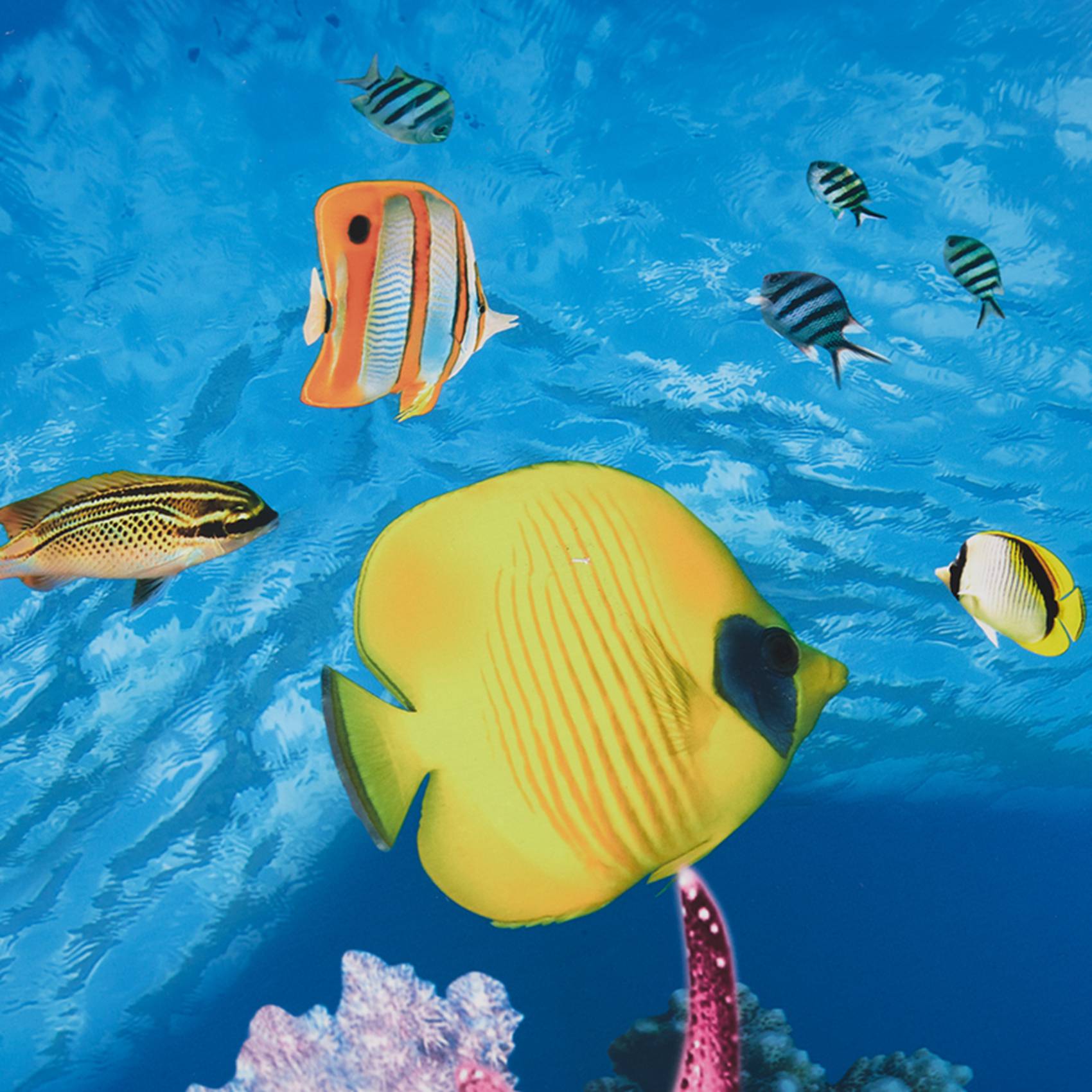 ورق خلفية للأحواض المائية ABWR - مراجعة Aquarium Fish Wallpaper وسعره