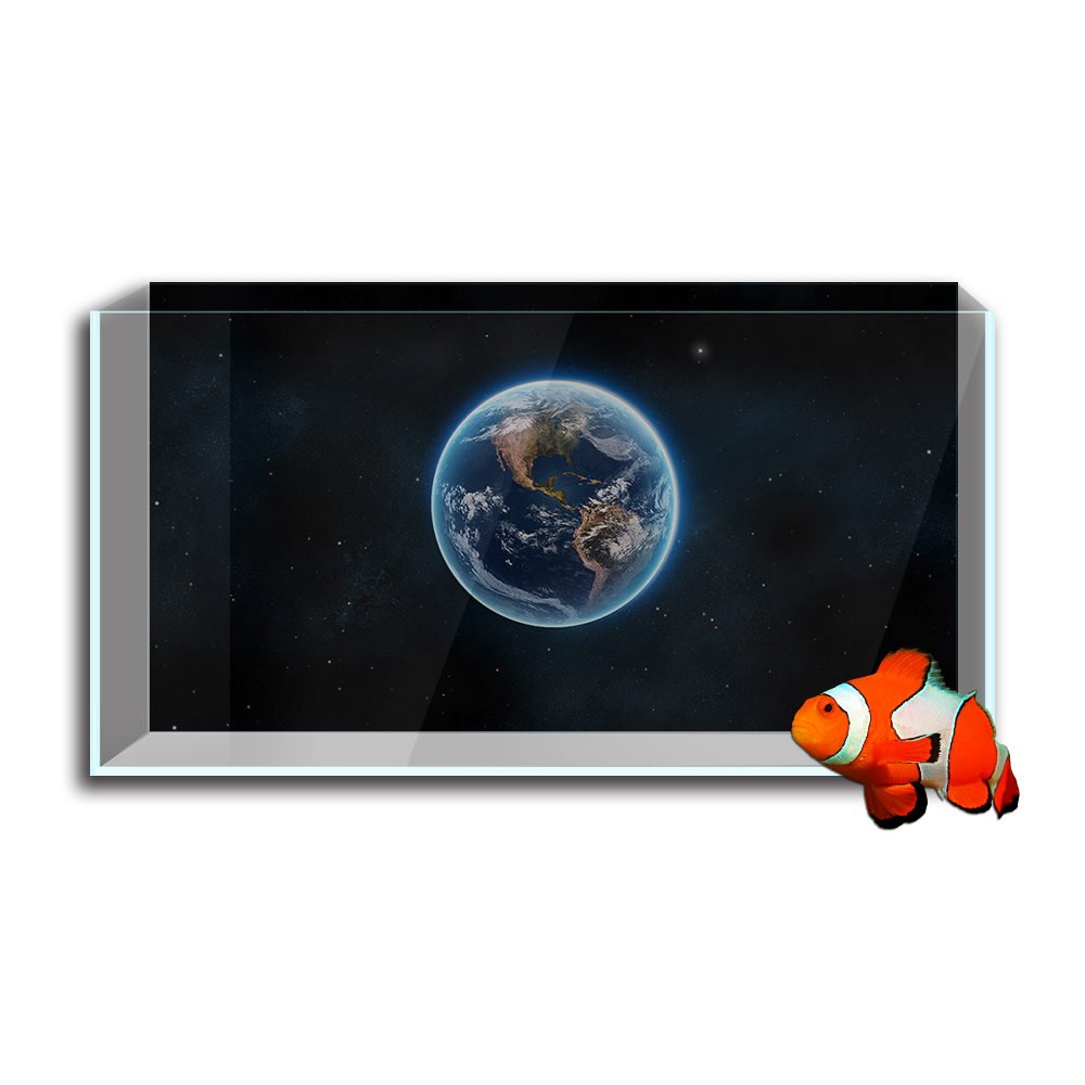 خزان حوض أسماك خلفية ملصق ، ال - مراجعة Aquarium Fish Poster وسعره