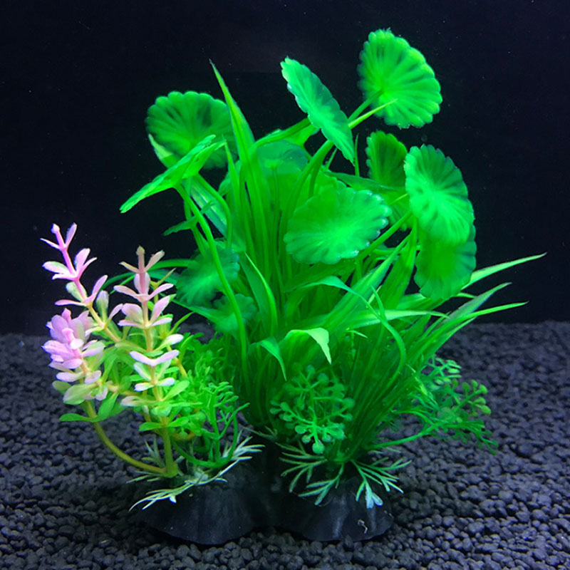 ديكور حوض السمك مجموعة متنوعة  - مراجعة Aquarium Fish Variety وسعره