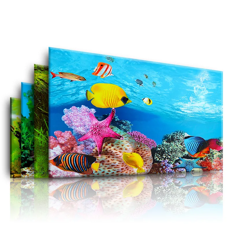 خلفية لحوض السمك ثلاثية الأبعا - مراجعة Aquarium Fish Only وسعره