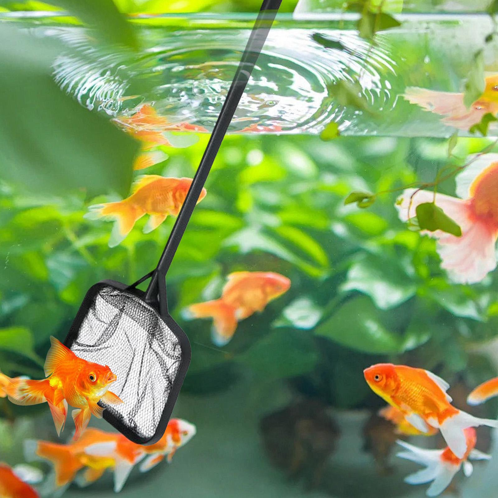 شبكات تنظيف حمامات السباحة، شب - مراجعة Aquarium Fish Care وسعره