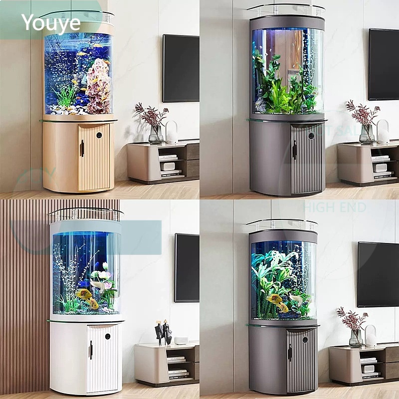 حوض سمك زجاجي نصف دائري من ZL  - مراجعة Aquarium Fish Low Maintenance وسعره