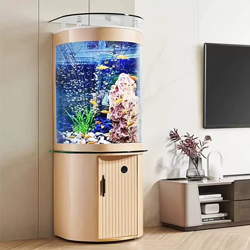 حوض سمك زجاجي نصف دائري من ZL  - مراجعة Aquarium Fish Low Maintenance وسعره