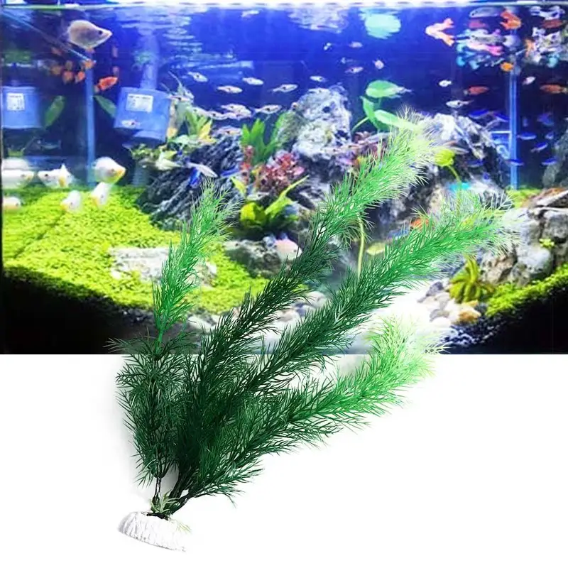 نباتات ديكور حوض السمك الاصطنا - مراجعة Aquarium Fish Only وسعره