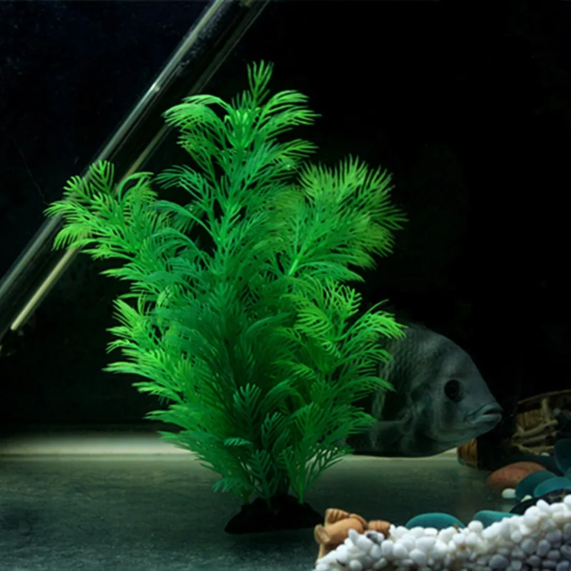نباتات ديكور حوض السمك الاصطنا - مراجعة Aquarium Fish Only وسعره