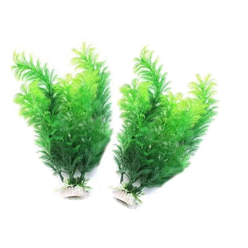 نباتات ديكور حوض السمك الاصطنا - مراجعة Aquarium Fish Only وسعره