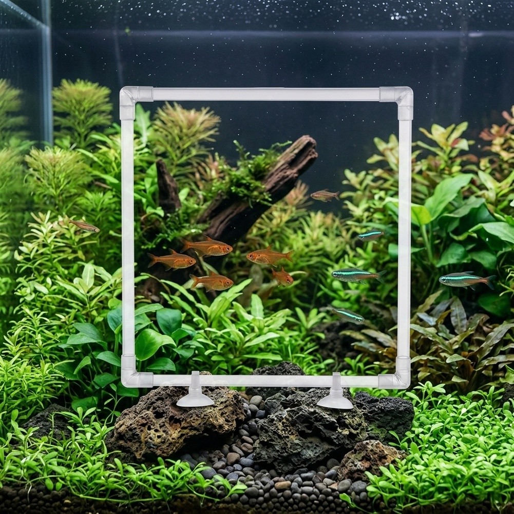 حوض نباتات عائمة للأحواض المائ - مراجعة Aquarium Fish Zone وسعره