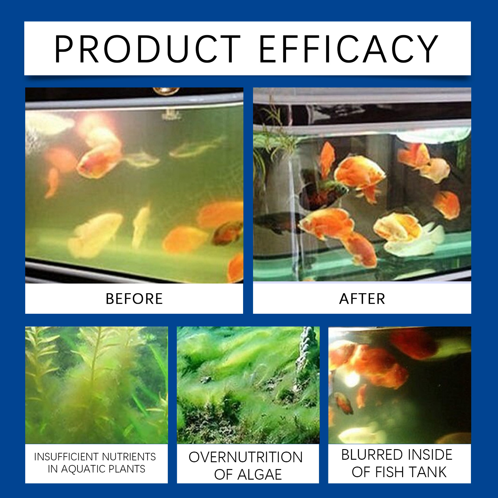 حوض السمك المياه توضيح 100 ملل - مراجعة Aquarium Fish Care وسعره