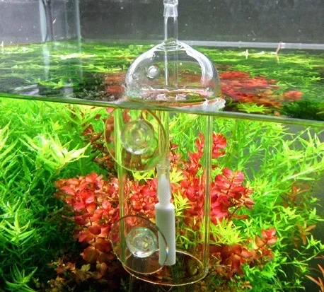 VIV Do جهاز حوض السمك اسطوانة  - مراجعة Aquarium Fish Store وسعره