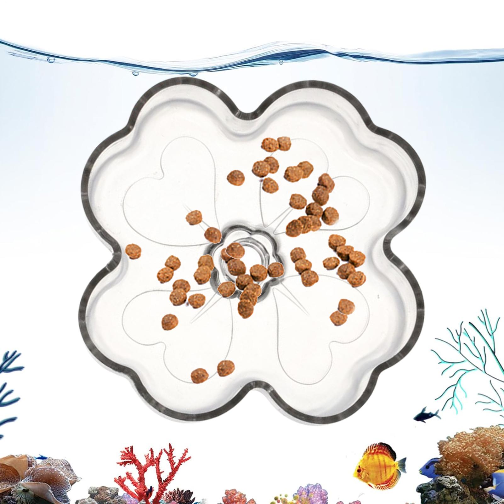 صينية تغذية للأحواض المائية عل - مراجعة Tetra Fish In Aquarium وسعره