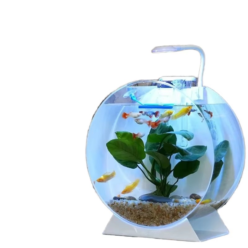 رائجة البيع خزانات الأسماك الا - مراجعة Aquarium Fish For Sale وسعره