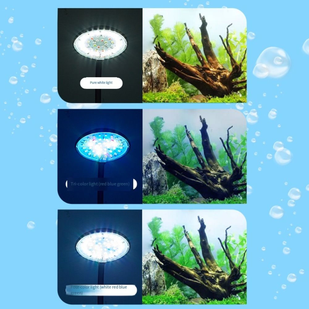 مصباح حوض السمك الصغير القابل  - مراجعة Aquarium Fish Live وسعره