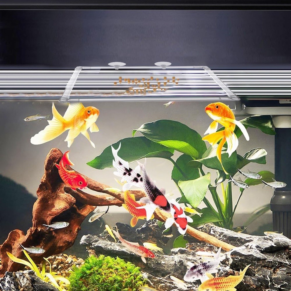 حوض نباتات عائمة للأحواض المائ - مراجعة Aquarium Fish Zone وسعره