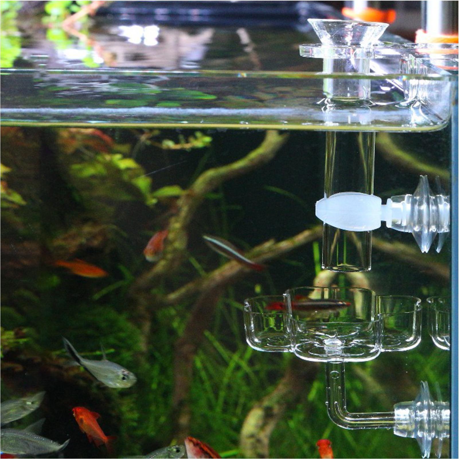 طبق تغذية للأسماك على شكل زهرة - مراجعة Tetra Fish In Aquarium وسعره