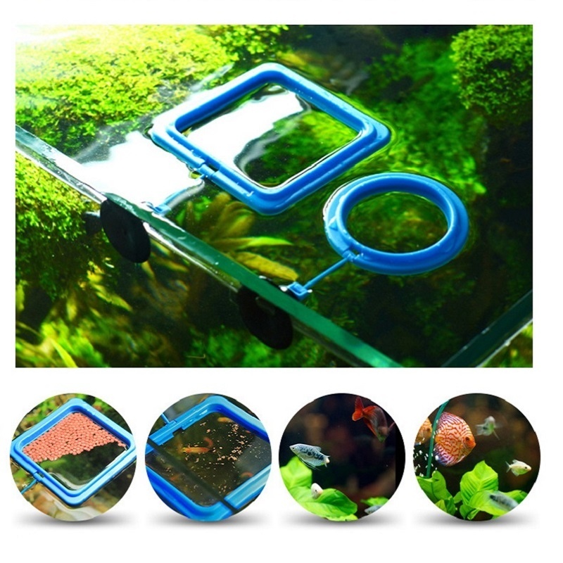 تغذية الأسماك حلقة المغذية معد - مراجعة Tetra Fish In Aquarium وسعره