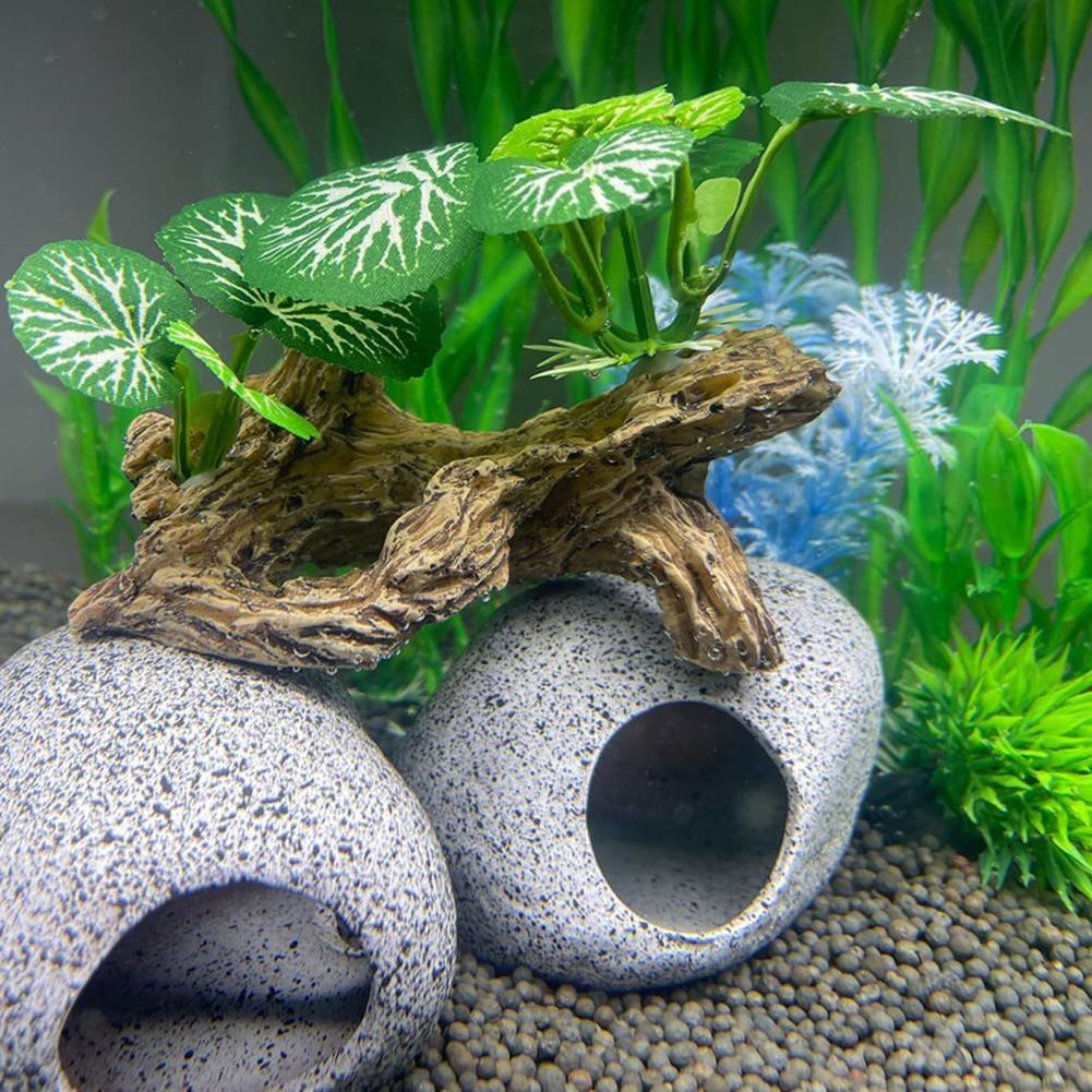 زينة حوض السمك منخفضة الصيانة، - مراجعة Aquarium Fish Low Maintenance وسعره