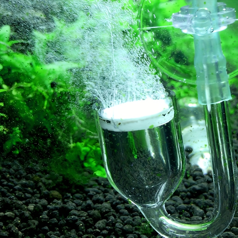 حوض السمك الزجاج CO2 البخاخة ا - مراجعة Aquarium Fish Store وسعره