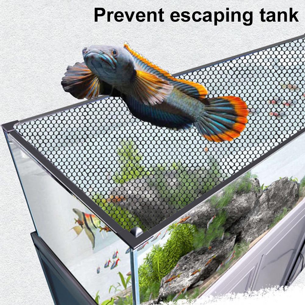 غطاء مغناطيسي شبكي لحوض السمك  - مراجعة Aquarium Fish Jump Guard وسعره