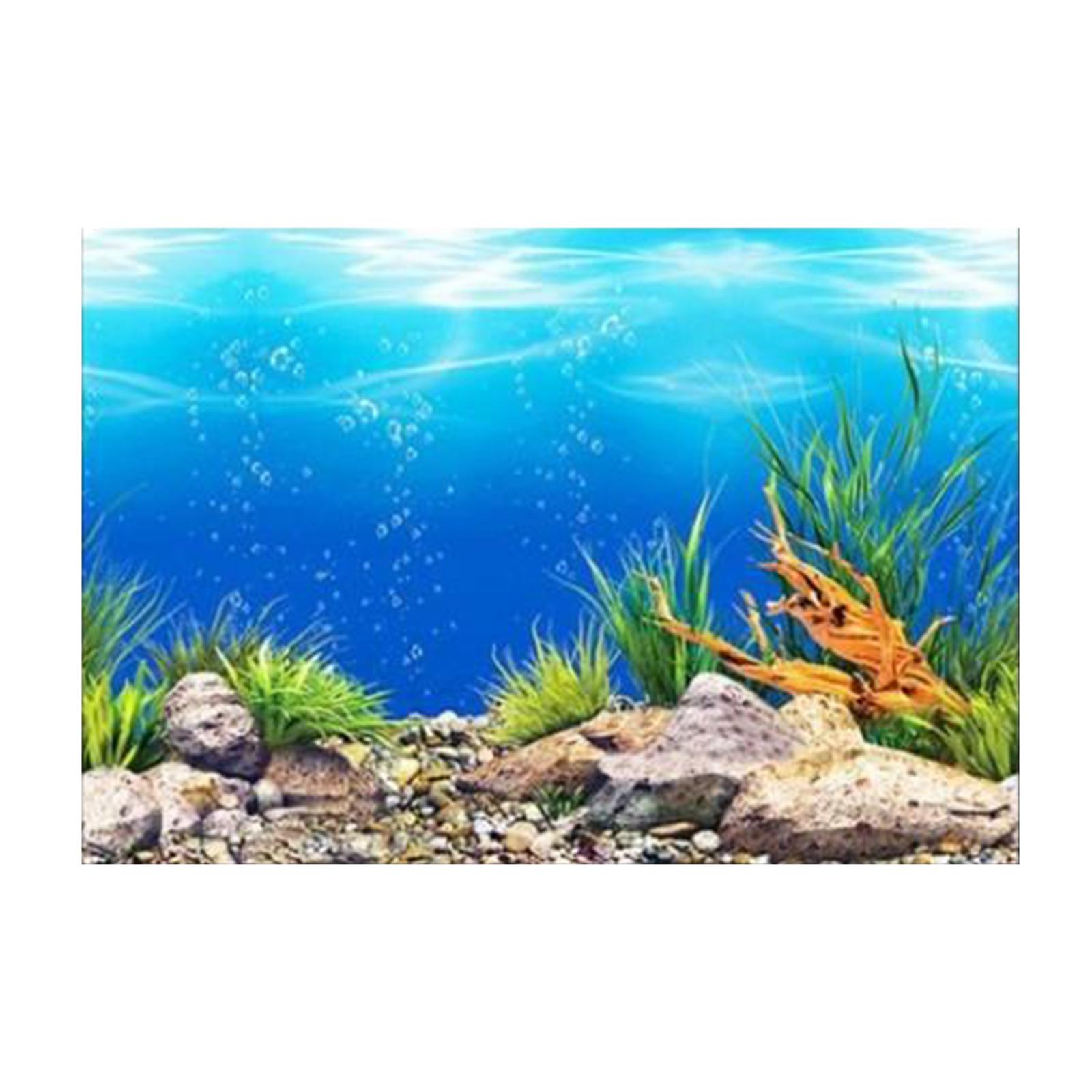 ملصق خلفية ثلاثي الأبعاد لحوض  - مراجعة Aquarium Fish Poster وسعره