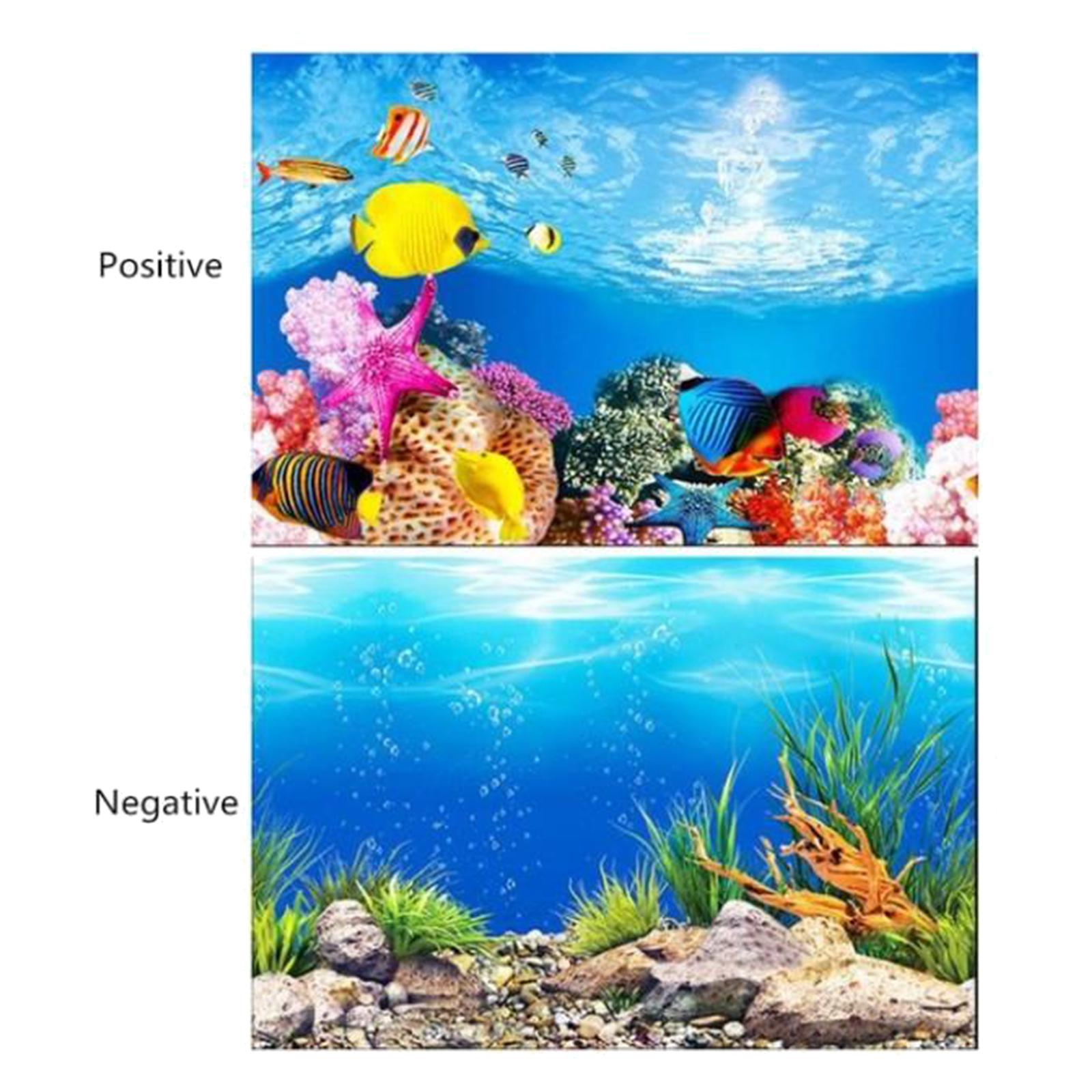ملصق خلفية ثلاثي الأبعاد لحوض  - مراجعة Aquarium Fish Poster وسعره