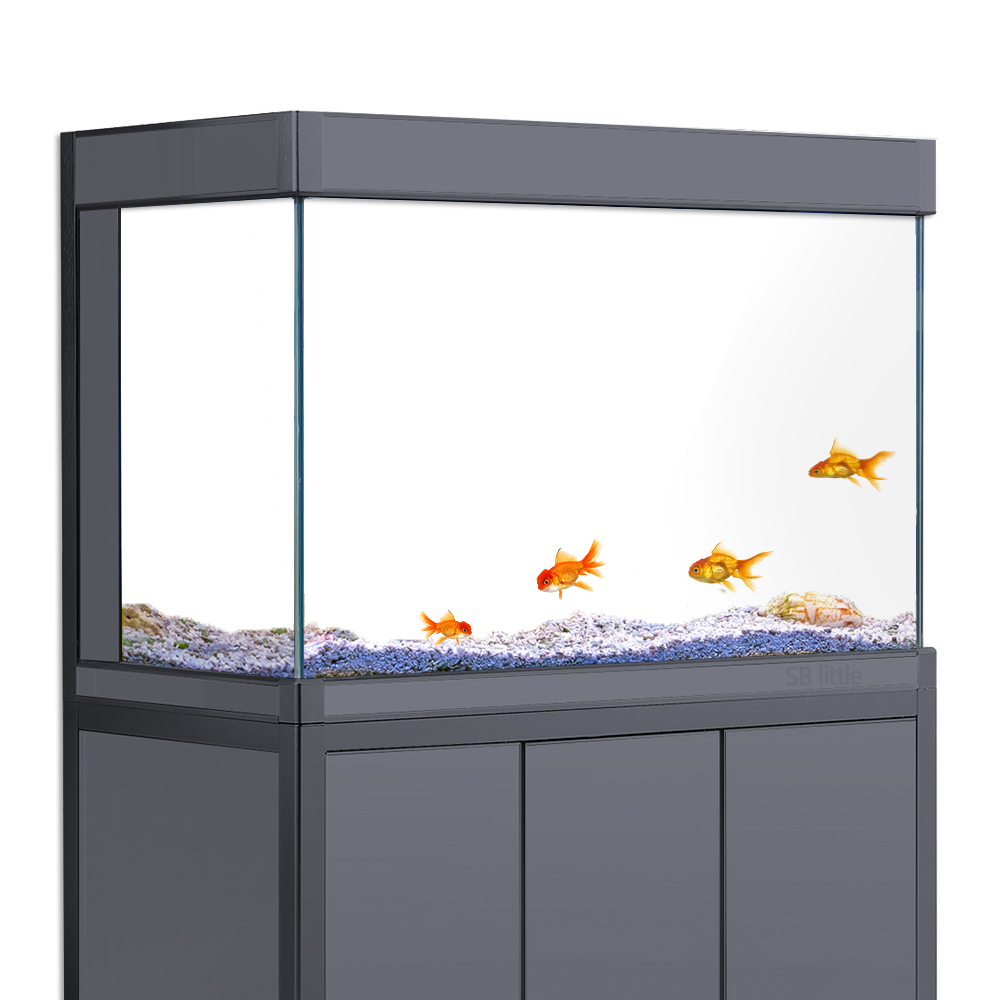 خلفية حوض السمك لاصقة ثابتة با - مراجعة Aquarium Fish Poster وسعره