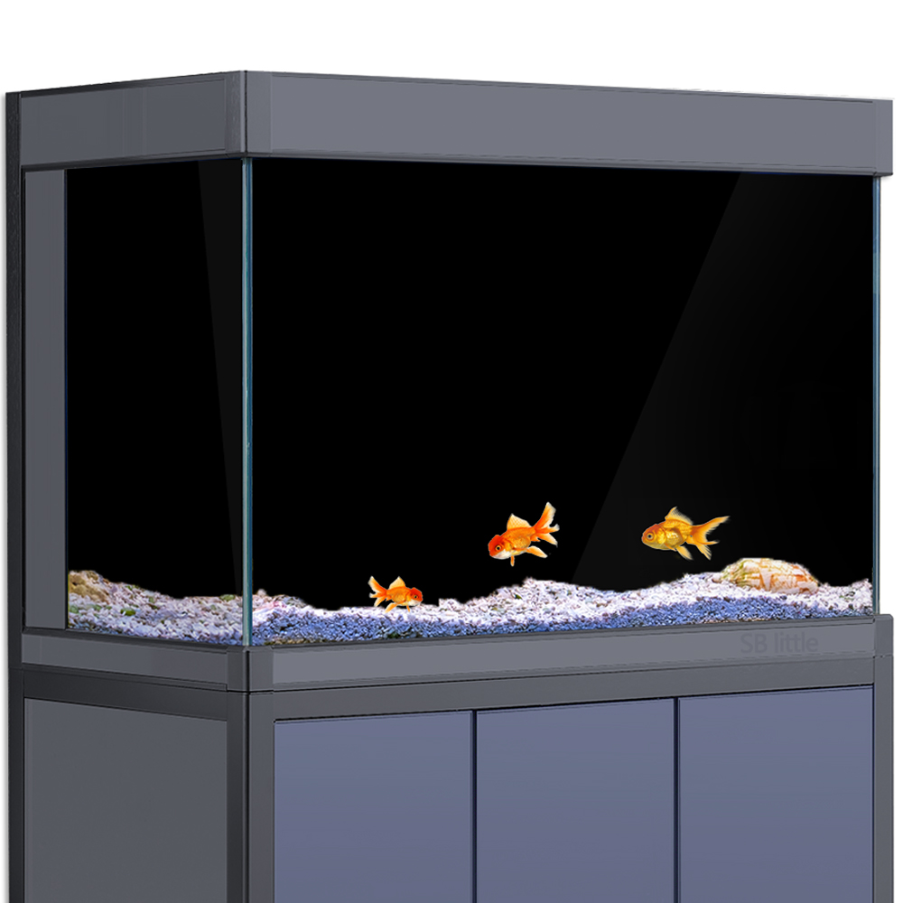 خلفية حوض السمك لاصقة ثابتة با - مراجعة Aquarium Fish Poster وسعره
