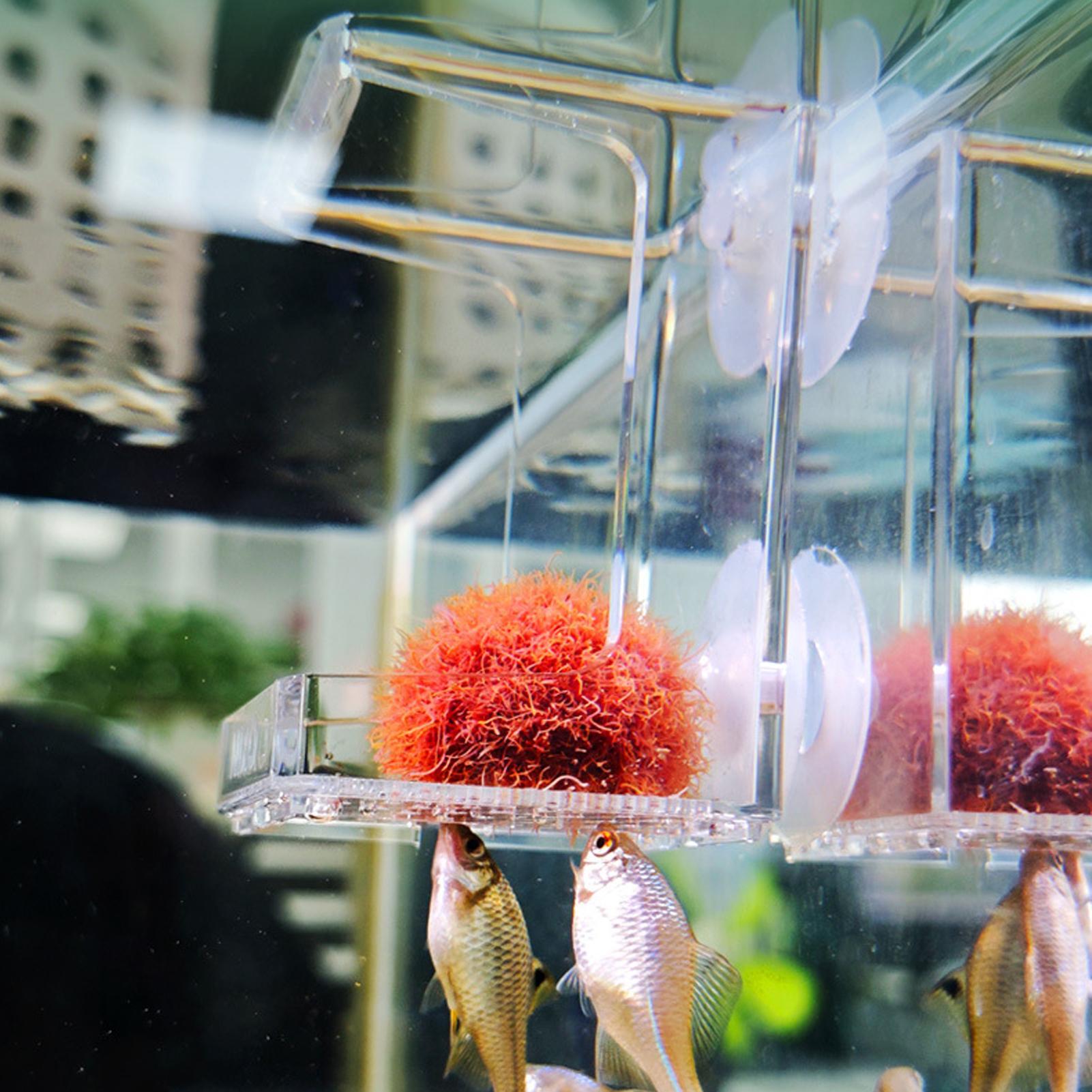 صينية تغذية للأحواض المائية بك - مراجعة Tetra Fish In Aquarium وسعره