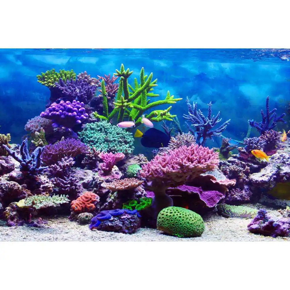 خلفية عالم ما تحت الماء، قاع ا - مراجعة Aquarium Fish World وسعره