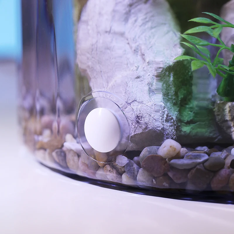 وعاء ذهبي مستدير مدمج - حوض ال - مراجعة Aquarium Fish Low Maintenance وسعره
