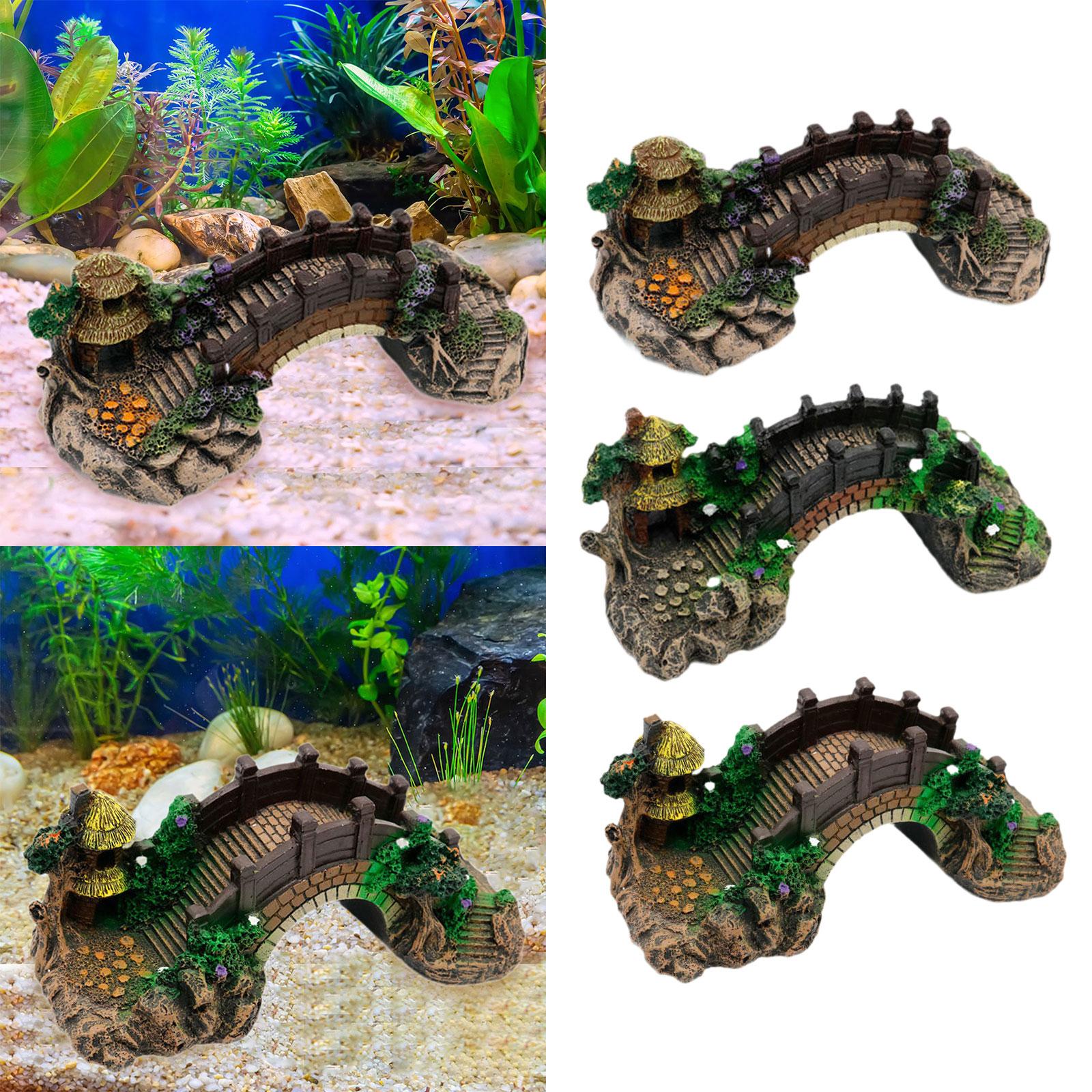 حوض السمك حوض للأسماك الديكور  - مراجعة Aquarium Fish Bridge وسعره