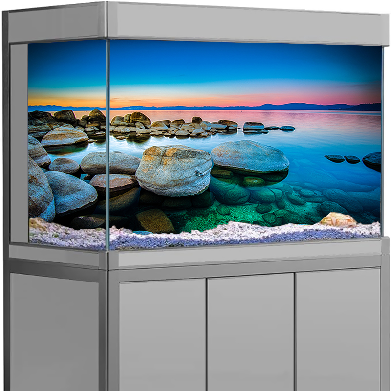 حوض السمك خلفية ملصق حجر عرض ا - مراجعة Aquarium Fish Poster وسعره
